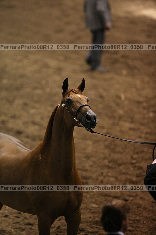 Proof 08r12_0358