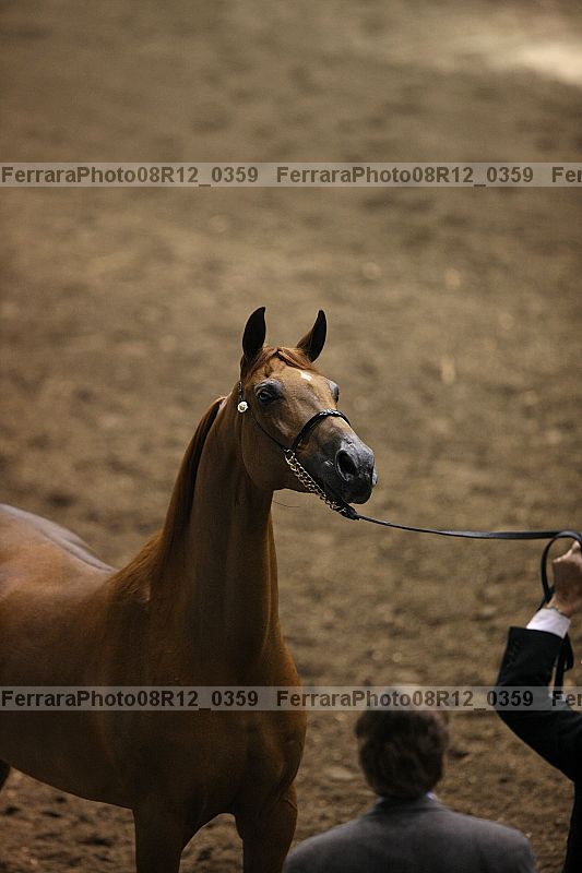 Proof 08r12_0359