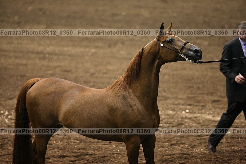Proof 08r12_0360