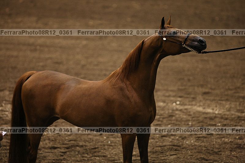 Proof 08r12_0361