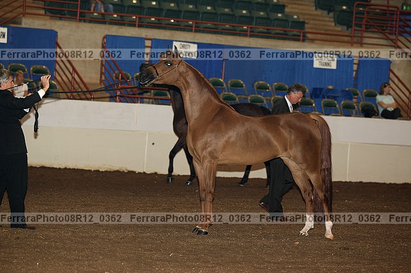Proof 08r12_0362