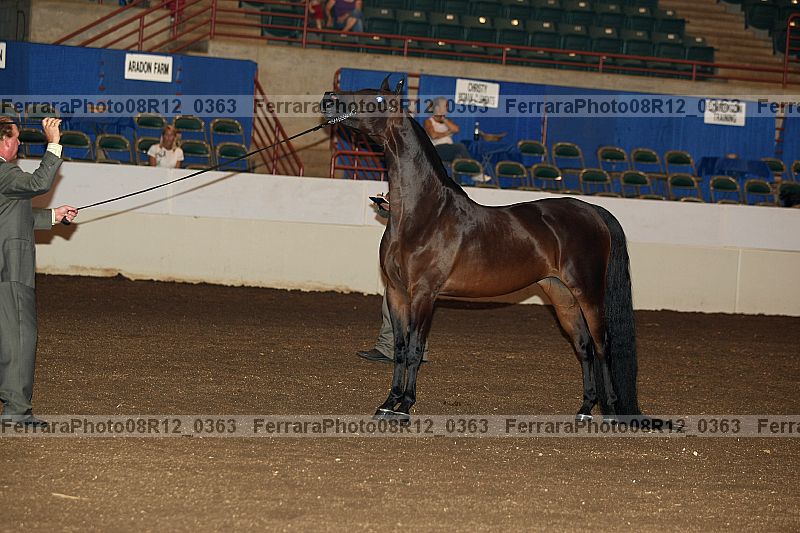 Proof 08r12_0363
