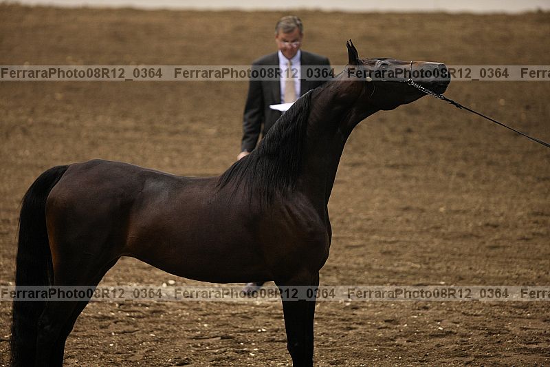 Proof 08r12_0364