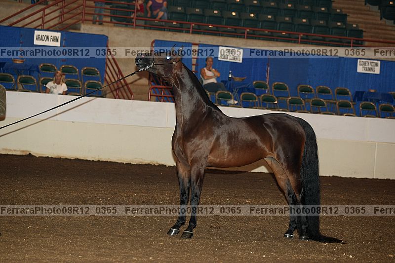 Proof 08r12_0365