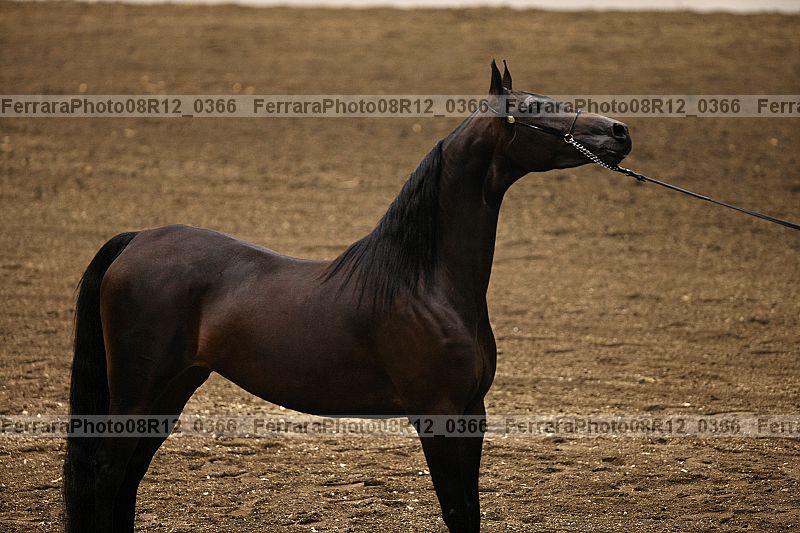Proof 08r12_0366