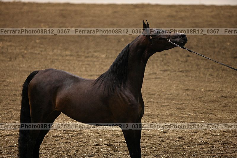Proof 08r12_0367