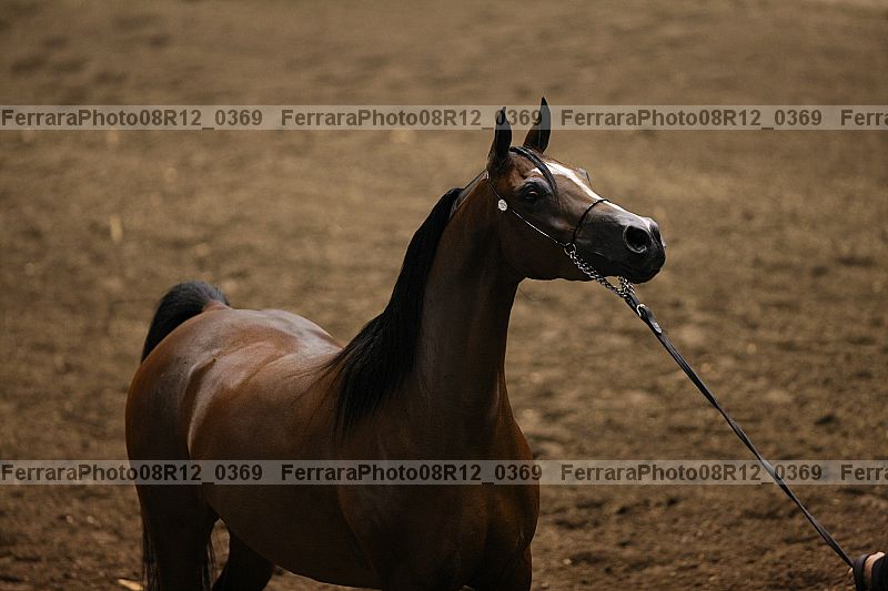 Proof 08r12_0369