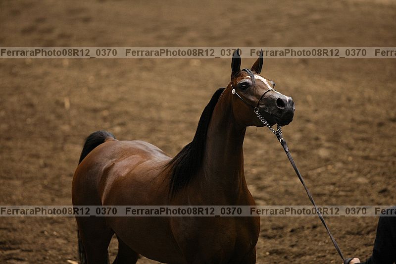 Proof 08r12_0370