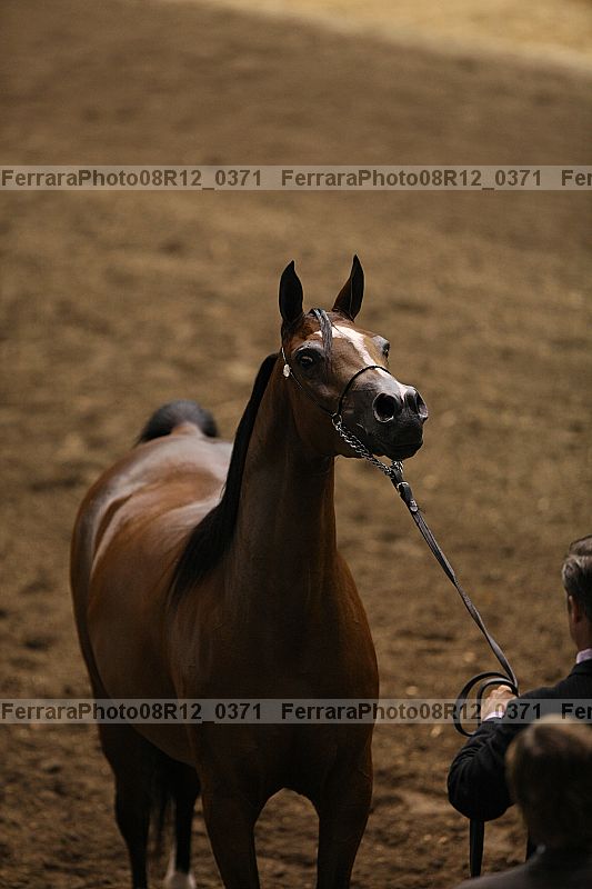 Proof 08r12_0371