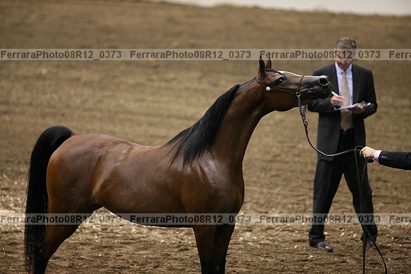 Proof 08r12_0373