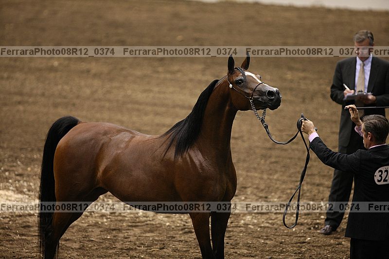 Proof 08r12_0374