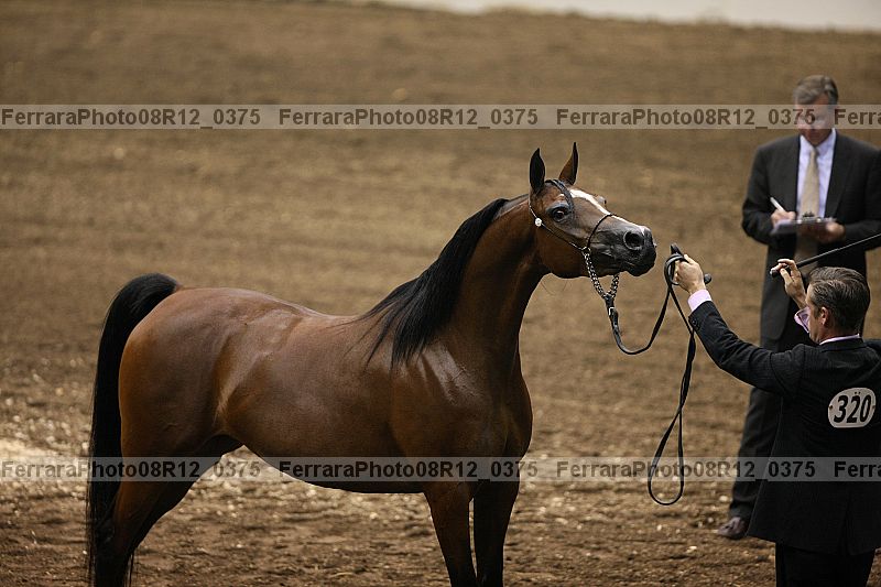 Proof 08r12_0375