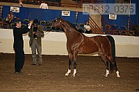 08r12_0376 proof
