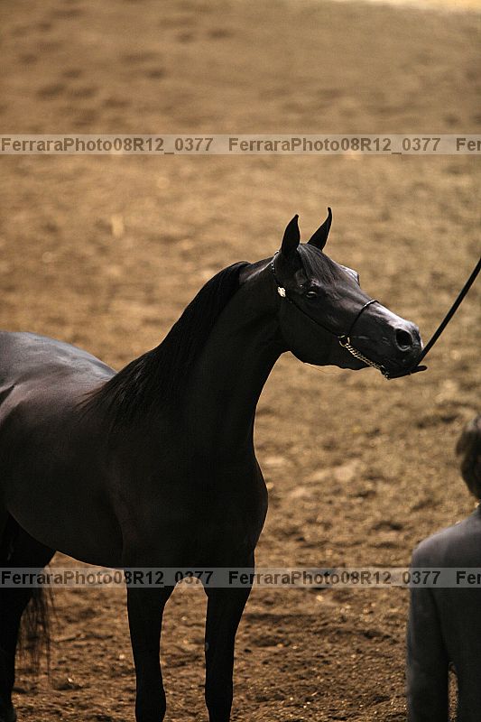 Proof 08r12_0377