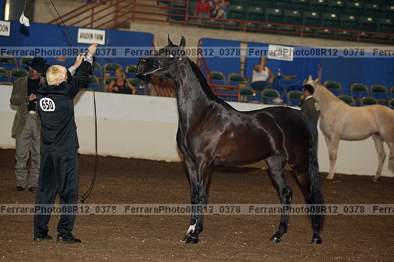 Proof 08r12_0378
