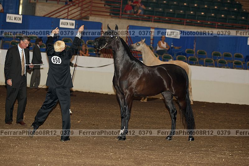 Proof 08r12_0379