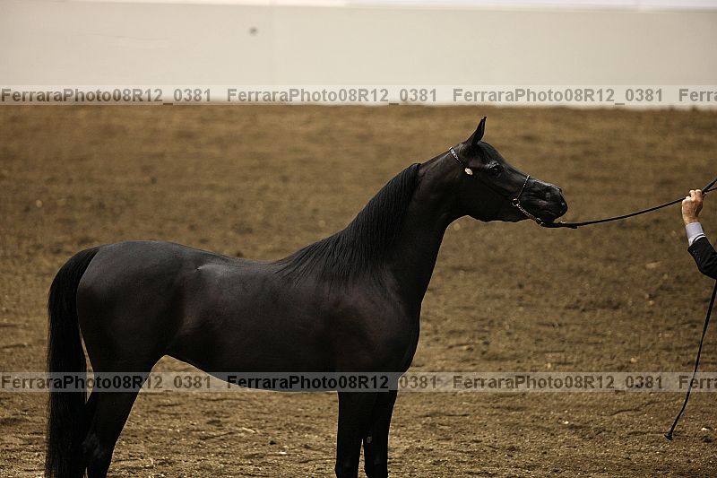 Proof 08r12_0381