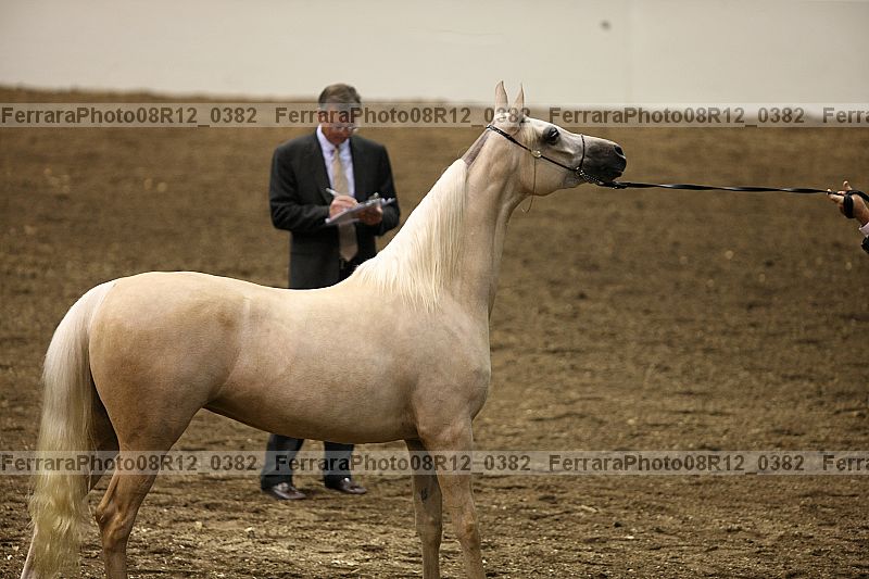 Proof 08r12_0382