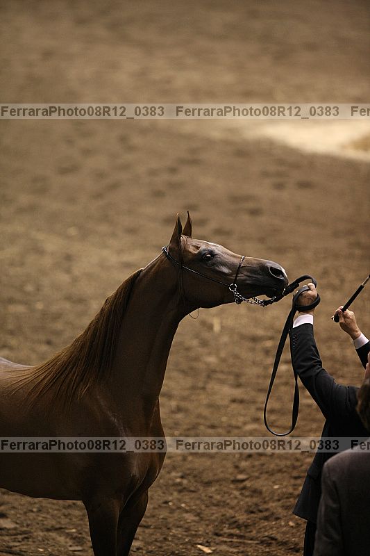 Proof 08r12_0383