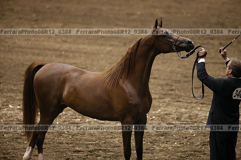 Proof 08r12_0384