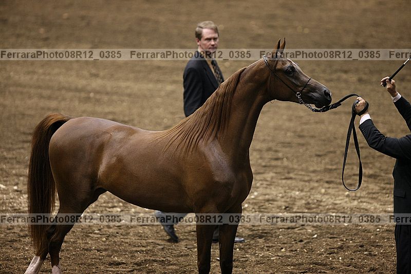 Proof 08r12_0385