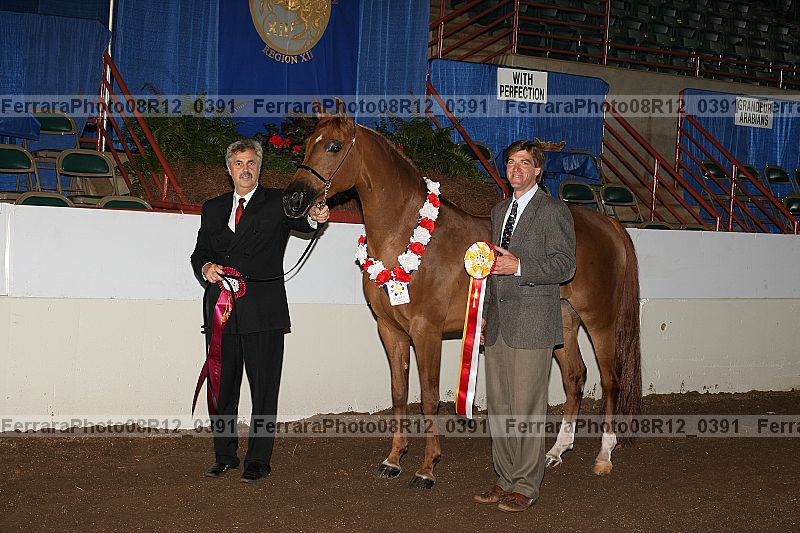 Proof 08r12_0391