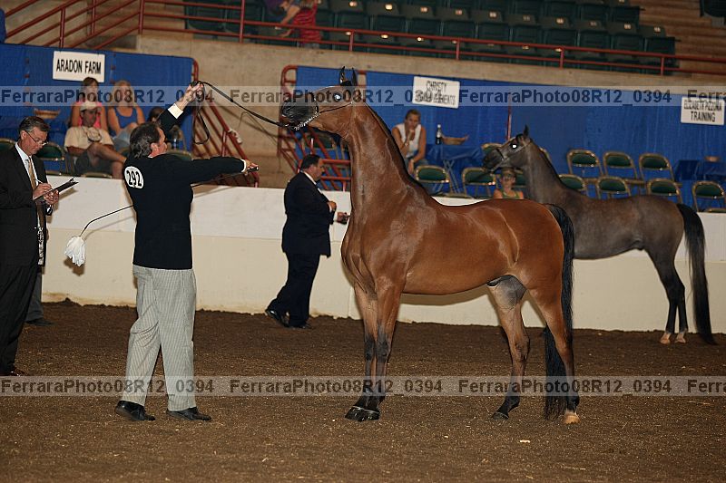Proof 08r12_0394