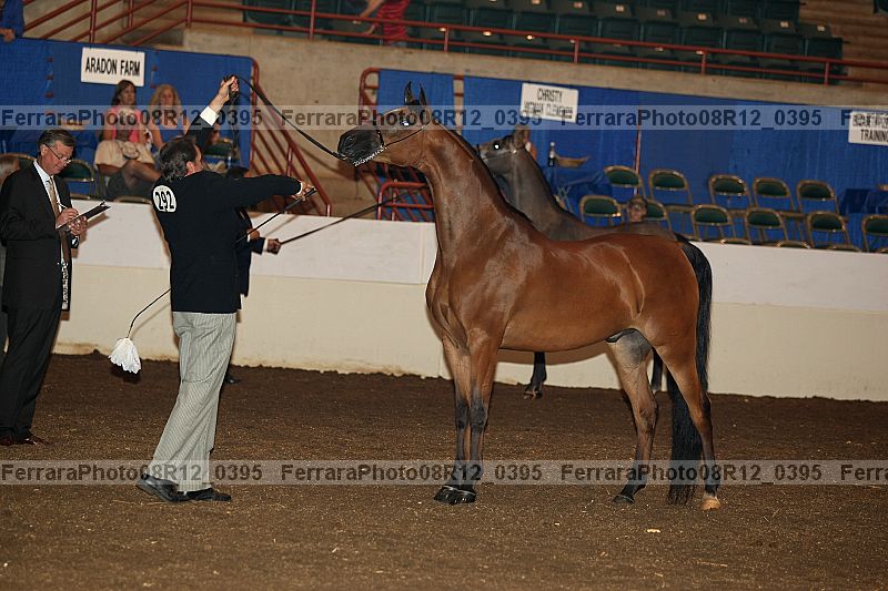 Proof 08r12_0395