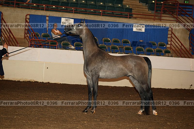 Proof 08r12_0396
