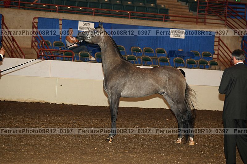 Proof 08r12_0397