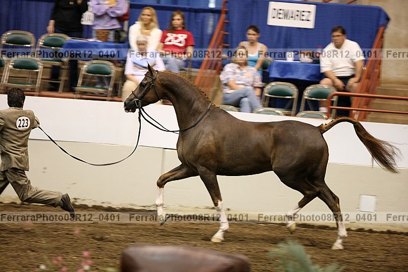 Proof 08r12_0401