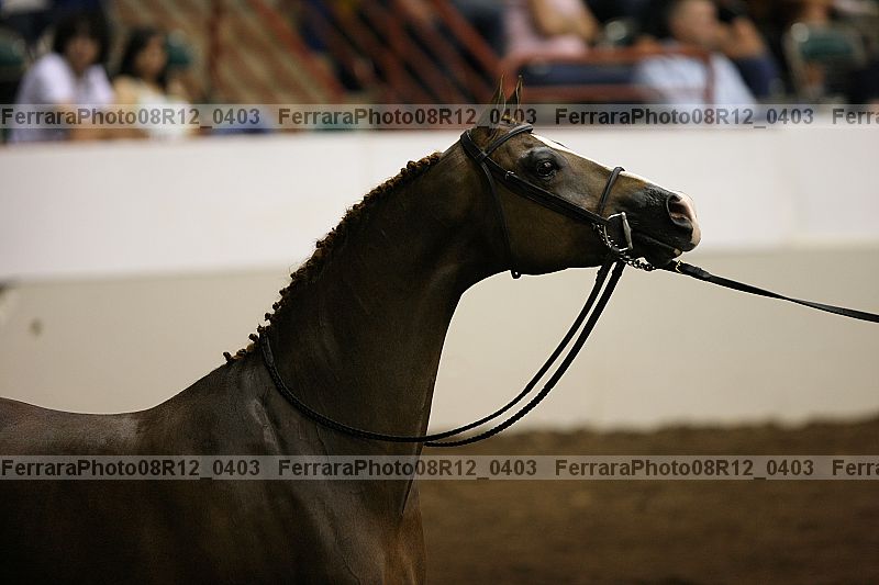 Proof 08r12_0403