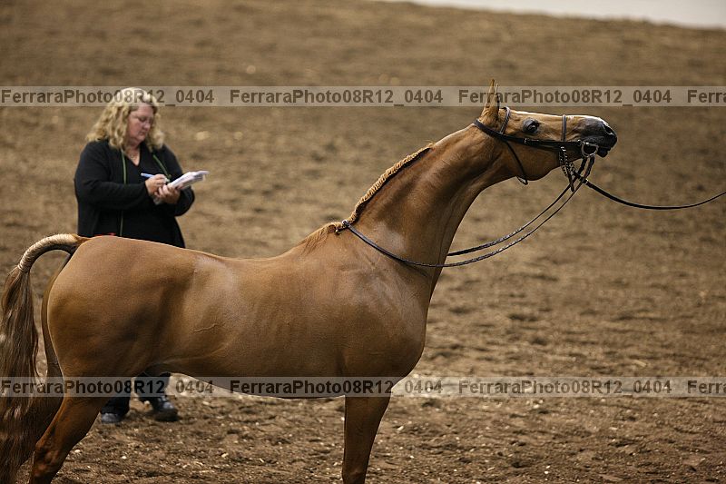 Proof 08r12_0404