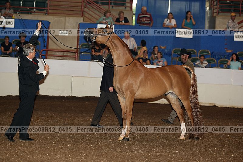 Proof 08r12_0405