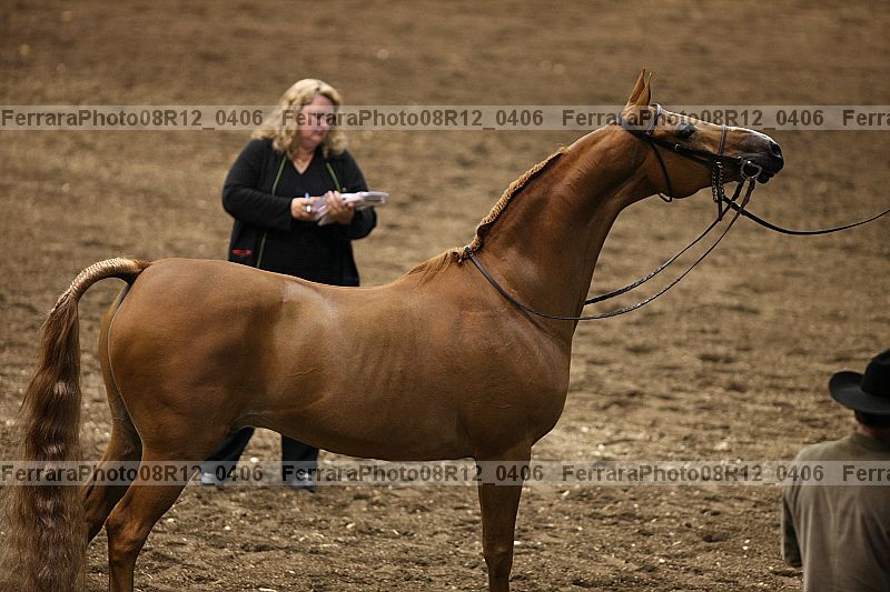 Proof 08r12_0406