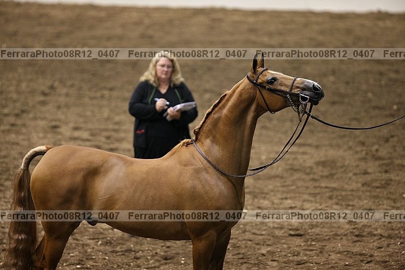 Proof 08r12_0407