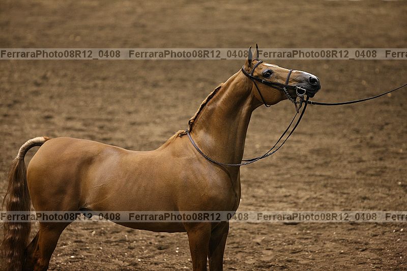 Proof 08r12_0408
