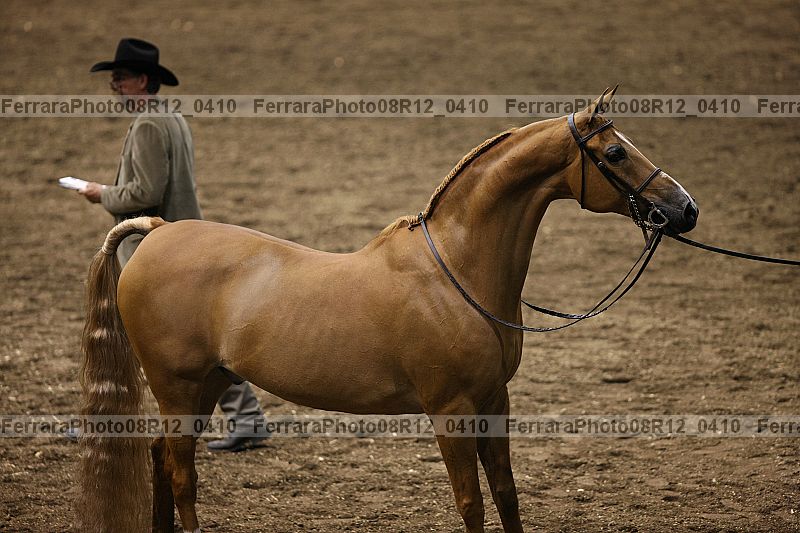Proof 08r12_0410