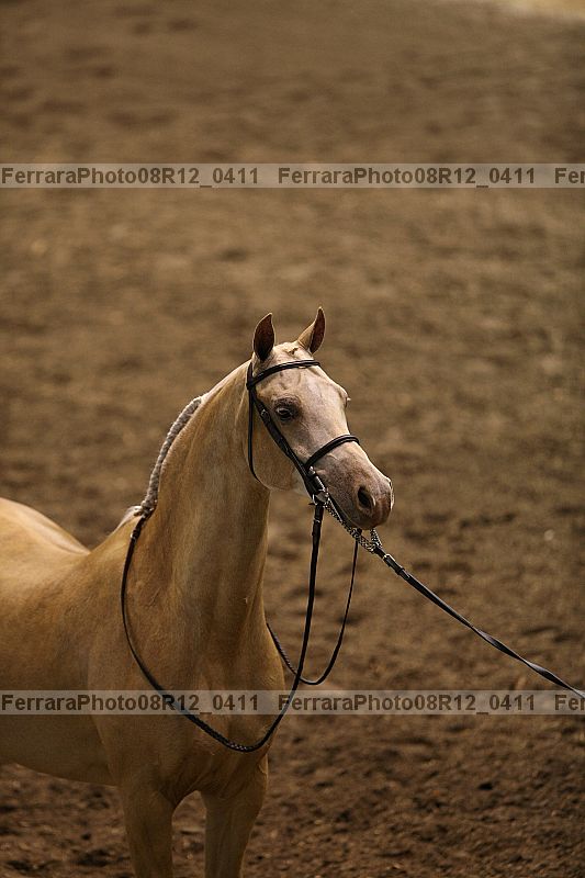 Proof 08r12_0411