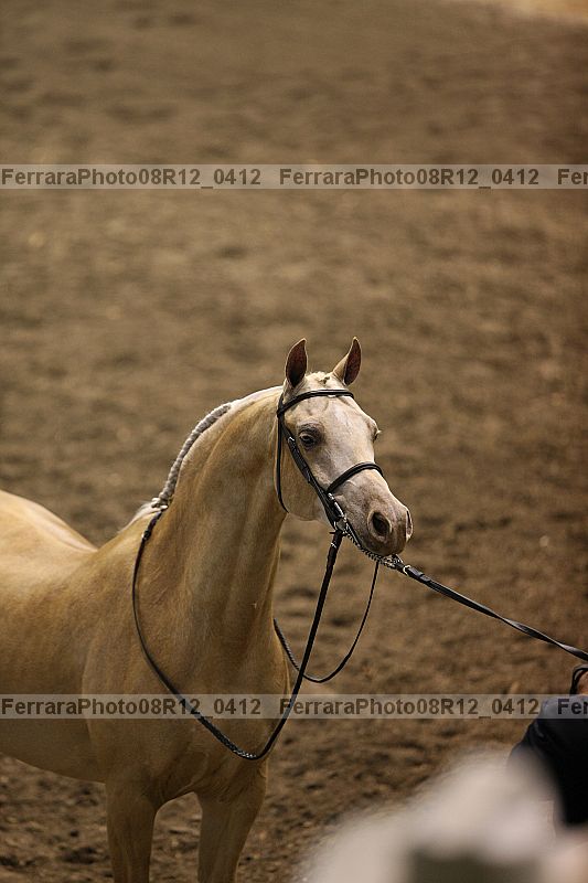 Proof 08r12_0412