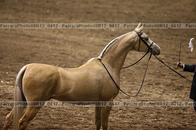 Proof 08r12_0417
