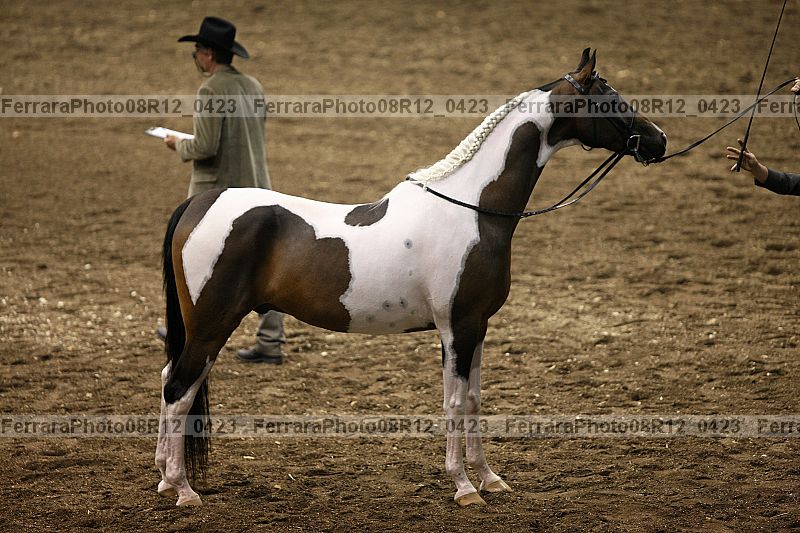 Proof 08r12_0423