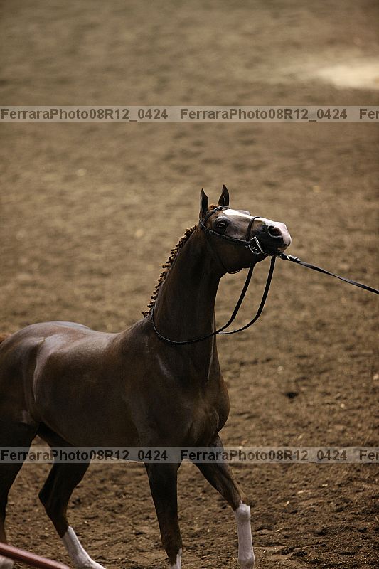 Proof 08r12_0424