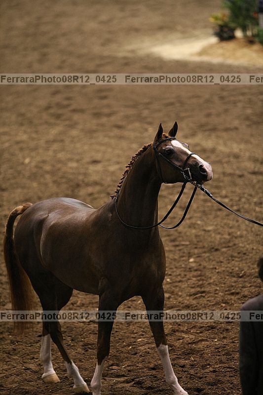 Proof 08r12_0425