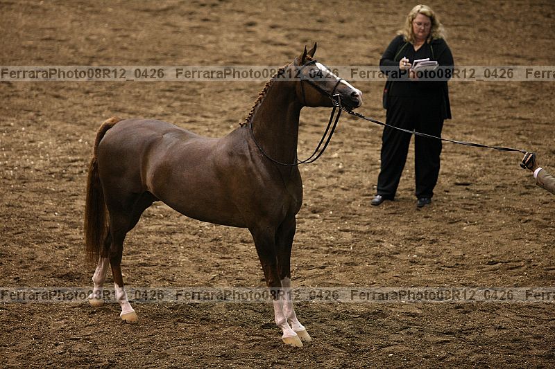 Proof 08r12_0426