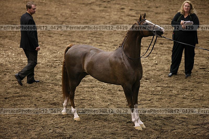 Proof 08r12_0429