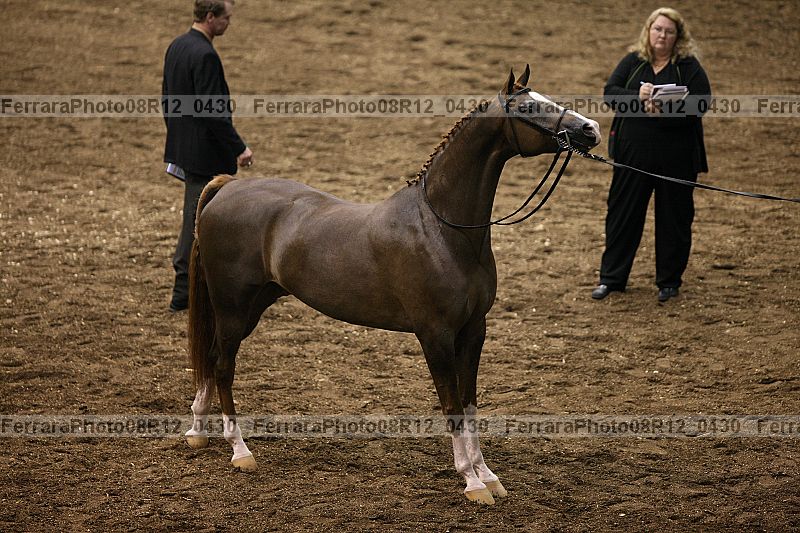 Proof 08r12_0430