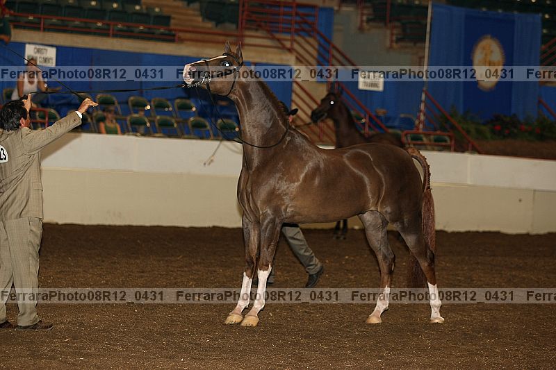 Proof 08r12_0431