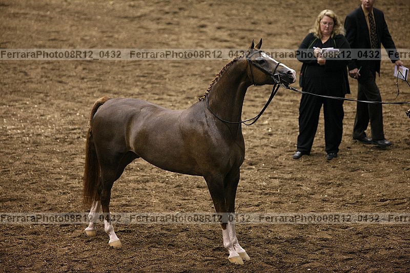 Proof 08r12_0432