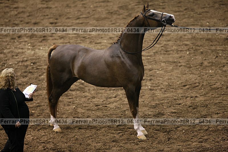 Proof 08r12_0434